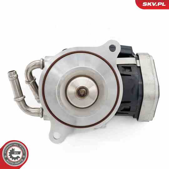 14SKV255 - EGR Valve 