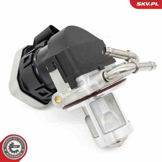 14SKV255 - EGR Valve 