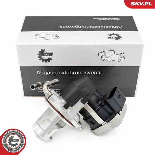 14SKV255 - EGR Valve 