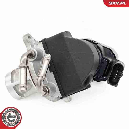 14SKV255 - EGR Valve 