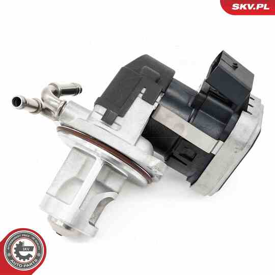 14SKV255 - EGR Valve 