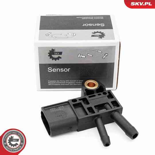 17SKV868 - Sensor, exhaust pressure 