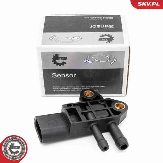 17SKV869 - Sensor, exhaust pressure 