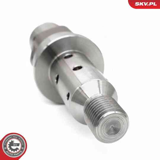 39SKV069 - Control Valve, Camshaft Adjustment 