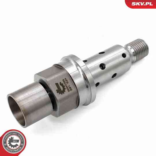 39SKV069 - Control Valve, Camshaft Adjustment 