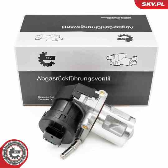 14SKV261 - EGR Valve 