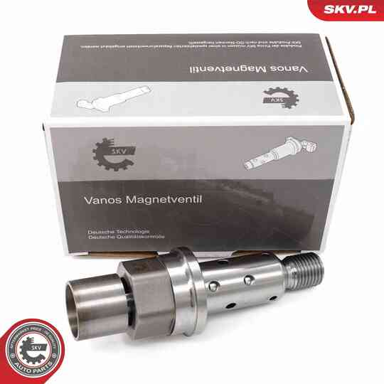 39SKV069 - Control Valve, Camshaft Adjustment 