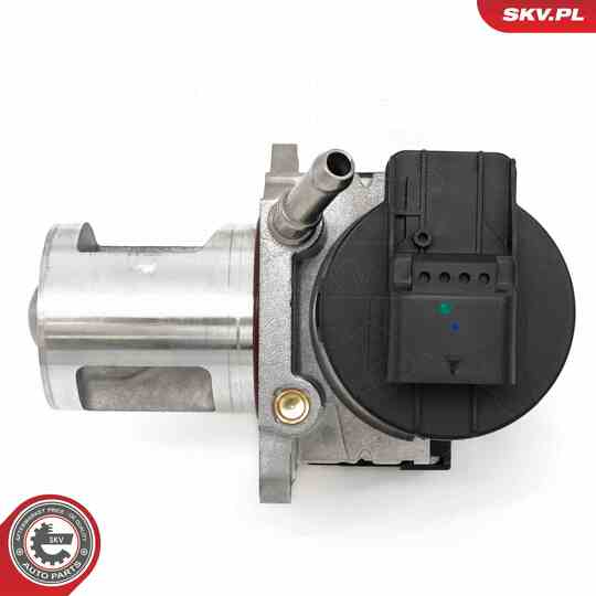 14SKV261 - EGR Valve 