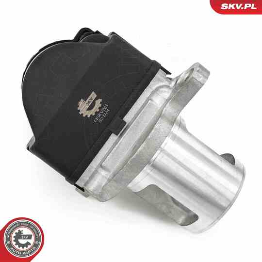 14SKV261 - EGR Valve 