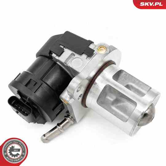 14SKV261 - EGR Valve 