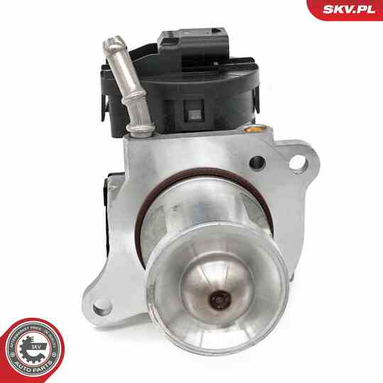 14SKV261 - EGR Valve 