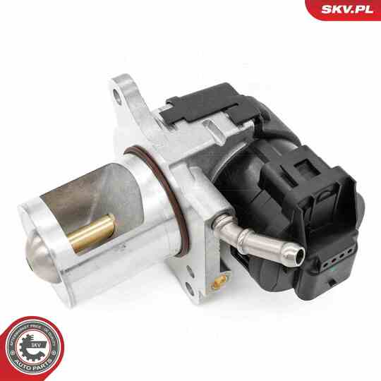 14SKV261 - EGR Valve 