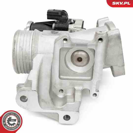 14SKV264 - EGR Valve 