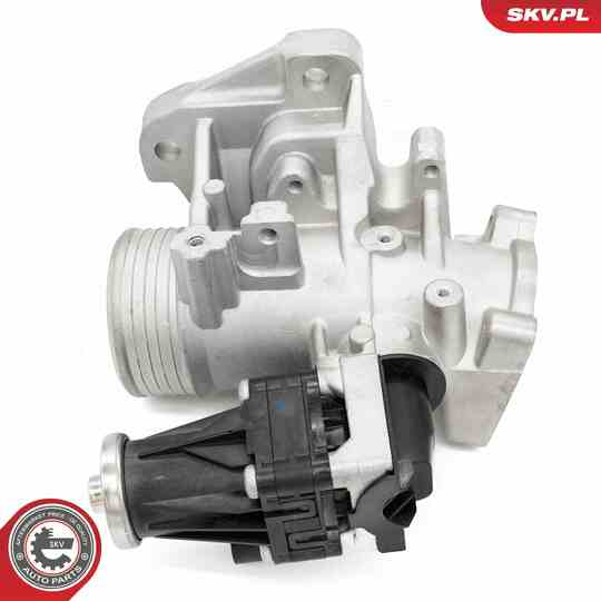 14SKV264 - EGR Valve 