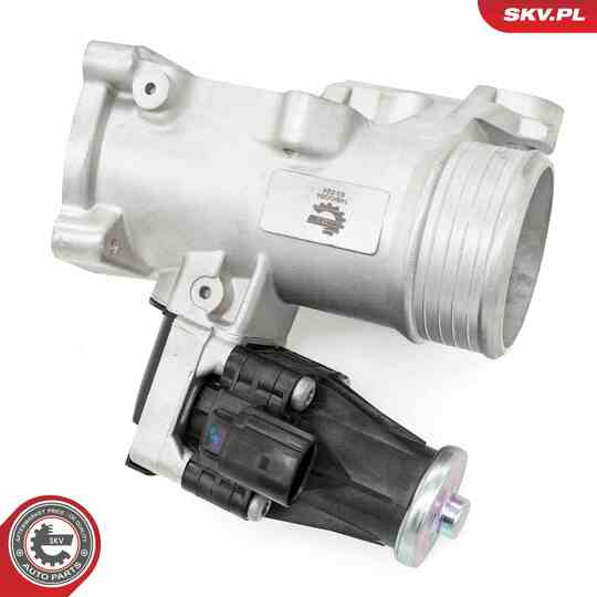 14SKV264 - EGR Valve 