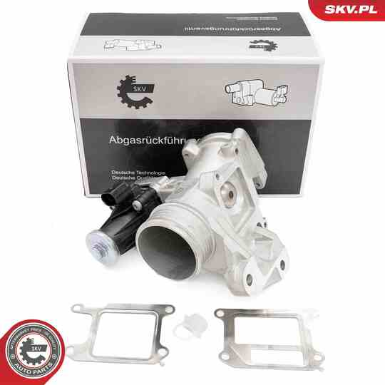 14SKV264 - EGR Valve 