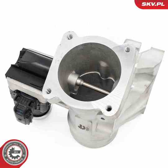 14SKV264 - EGR Valve 