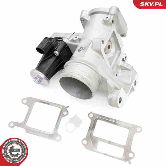 14SKV264 - EGR Valve 