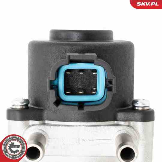 14SKV271 - EGR Valve 