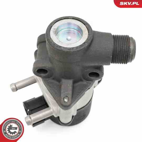 14SKV271 - EGR Valve 