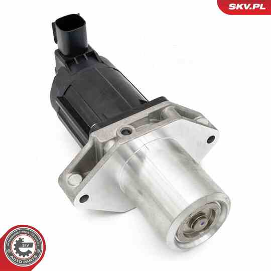 14SKV284 - EGR Valve 