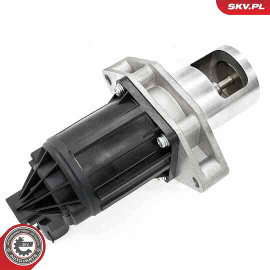 14SKV284 - EGR Valve 