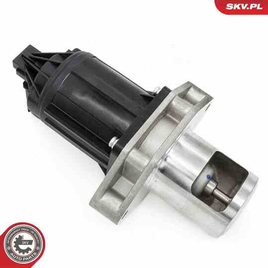 14SKV284 - EGR Valve 