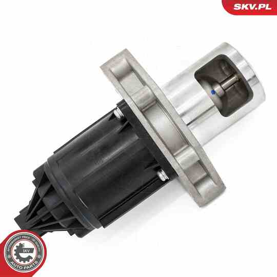 14SKV284 - EGR Valve 