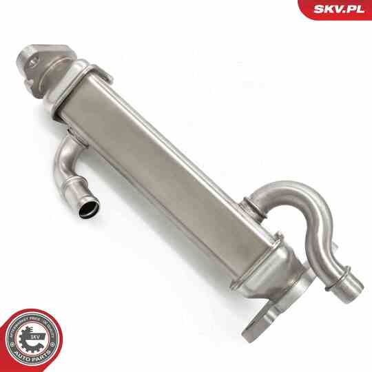 14SKV273 - EGR Valve 