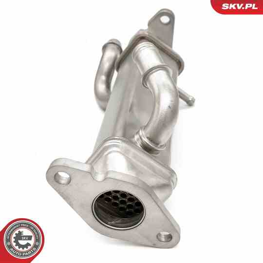 14SKV273 - EGR Valve 