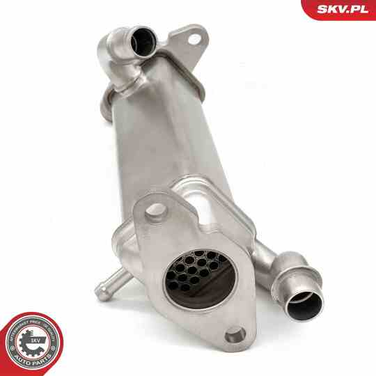 14SKV273 - EGR Valve 