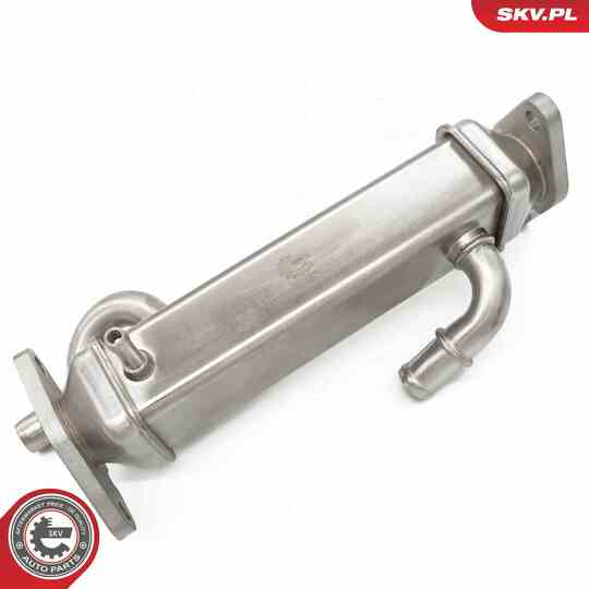 14SKV273 - EGR Valve 