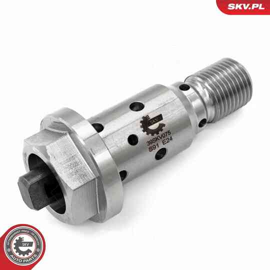 39SKV075 - Control Valve, Camshaft Adjustment 