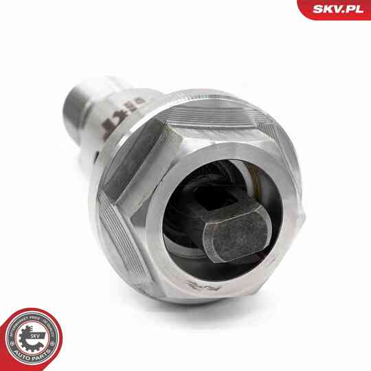 39SKV075 - Control Valve, Camshaft Adjustment 