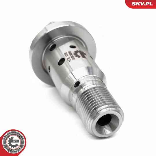 39SKV075 - Control Valve, Camshaft Adjustment 