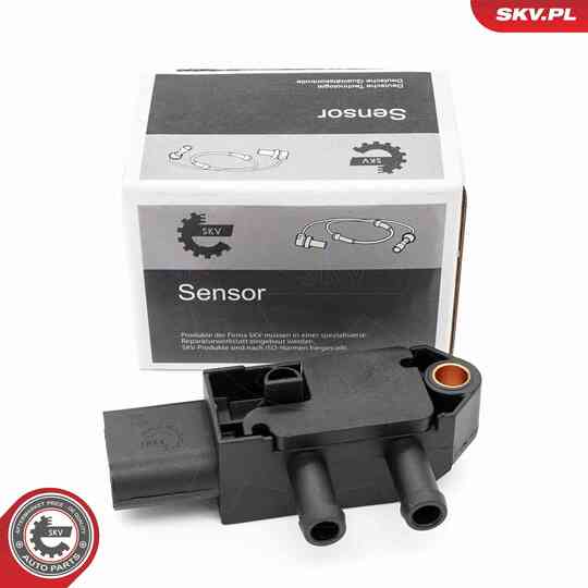 17SKV864 - Sensor, exhaust pressure 