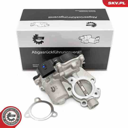 14SKV281 - EGR Valve 