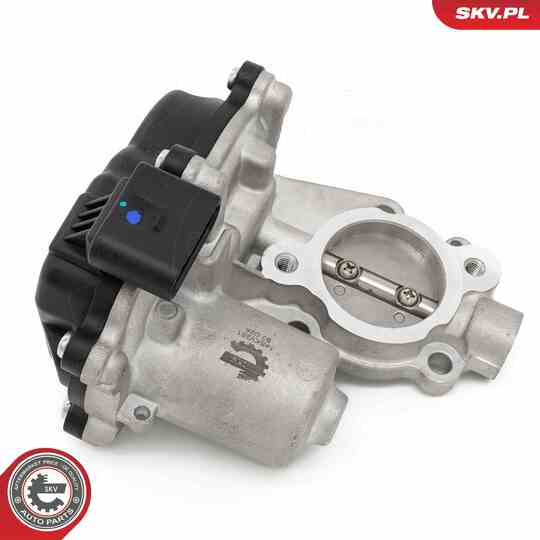 14SKV281 - EGR Valve 