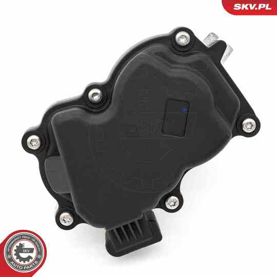 14SKV281 - EGR Valve 