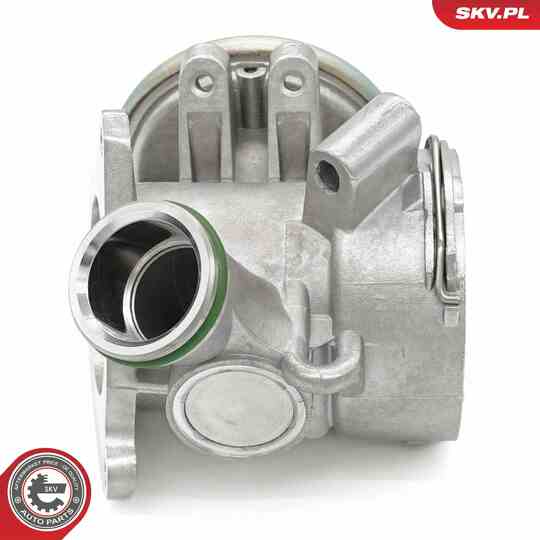 14SKV242 - EGR Valve 