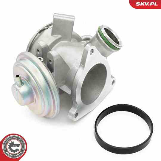 14SKV242 - EGR Valve 