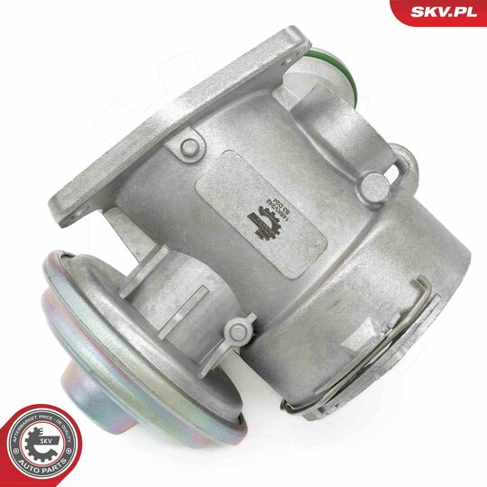 14SKV242 - EGR Valve 