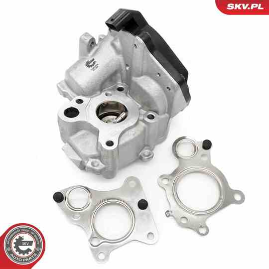 14SKV259 - EGR Valve 