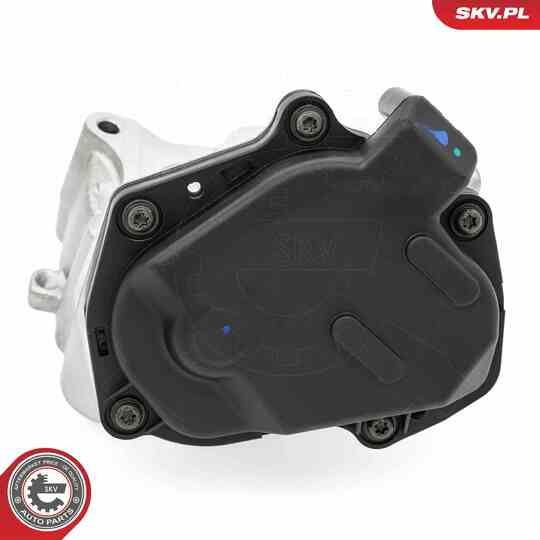 14SKV259 - EGR Valve 