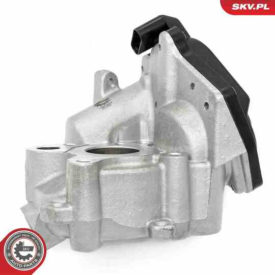 14SKV259 - EGR Valve 