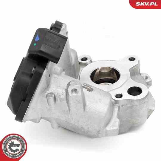 14SKV259 - EGR Valve 