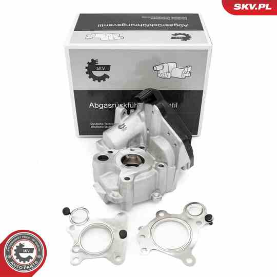 14SKV259 - EGR Valve 