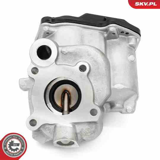 14SKV259 - EGR Valve 