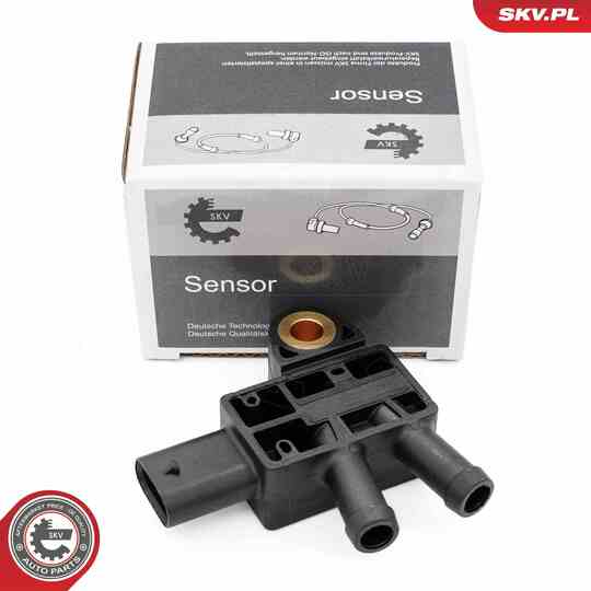 17SKV876 - Sensor, exhaust pressure 