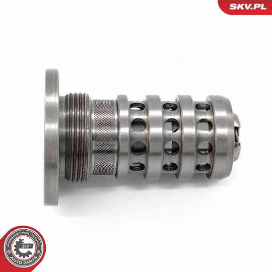 39SKV072 - Control Valve, Camshaft Adjustment 